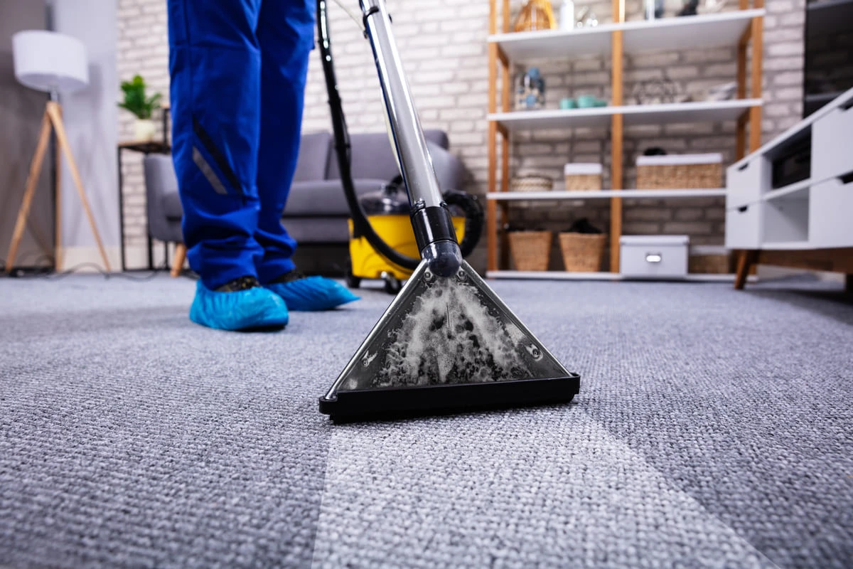 NIS -nettoyage-moquette-et-tapis